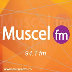 Muscel FM 94.1
